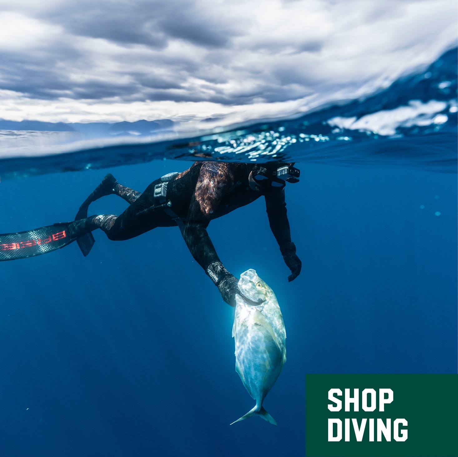 Diving